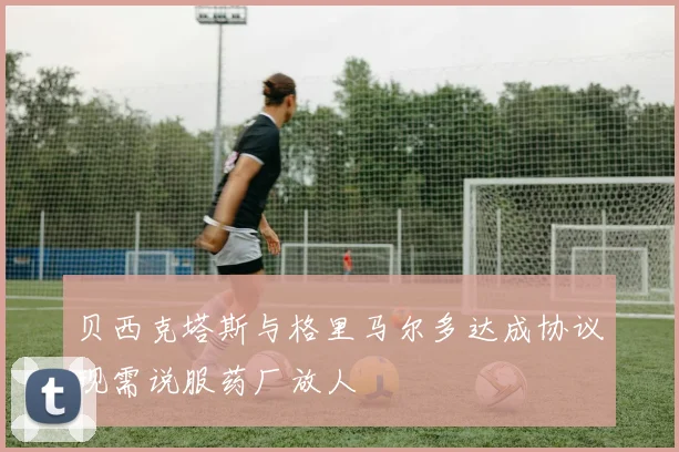贝西克塔斯与格里马尔多达成协议现需说服药厂放人